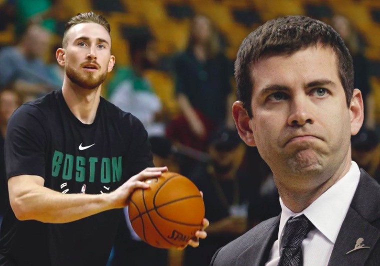 希望能引起 希望能引起